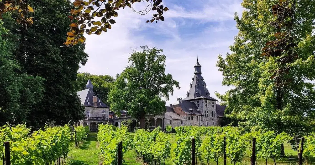 Bioul: Château de Bioul Tour and Wine Tasting